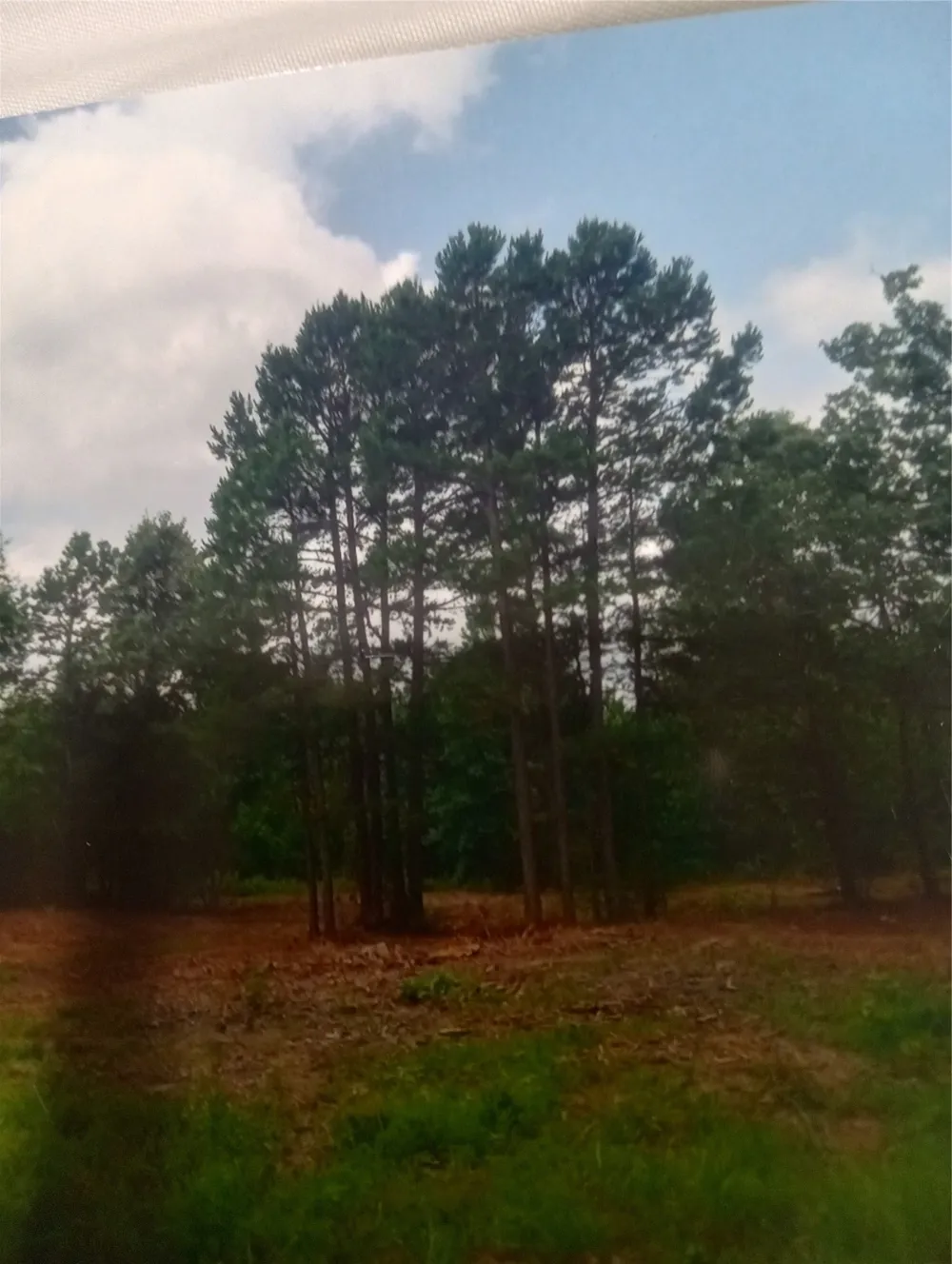 165 County rd 2613 Marietta, TX 75566
