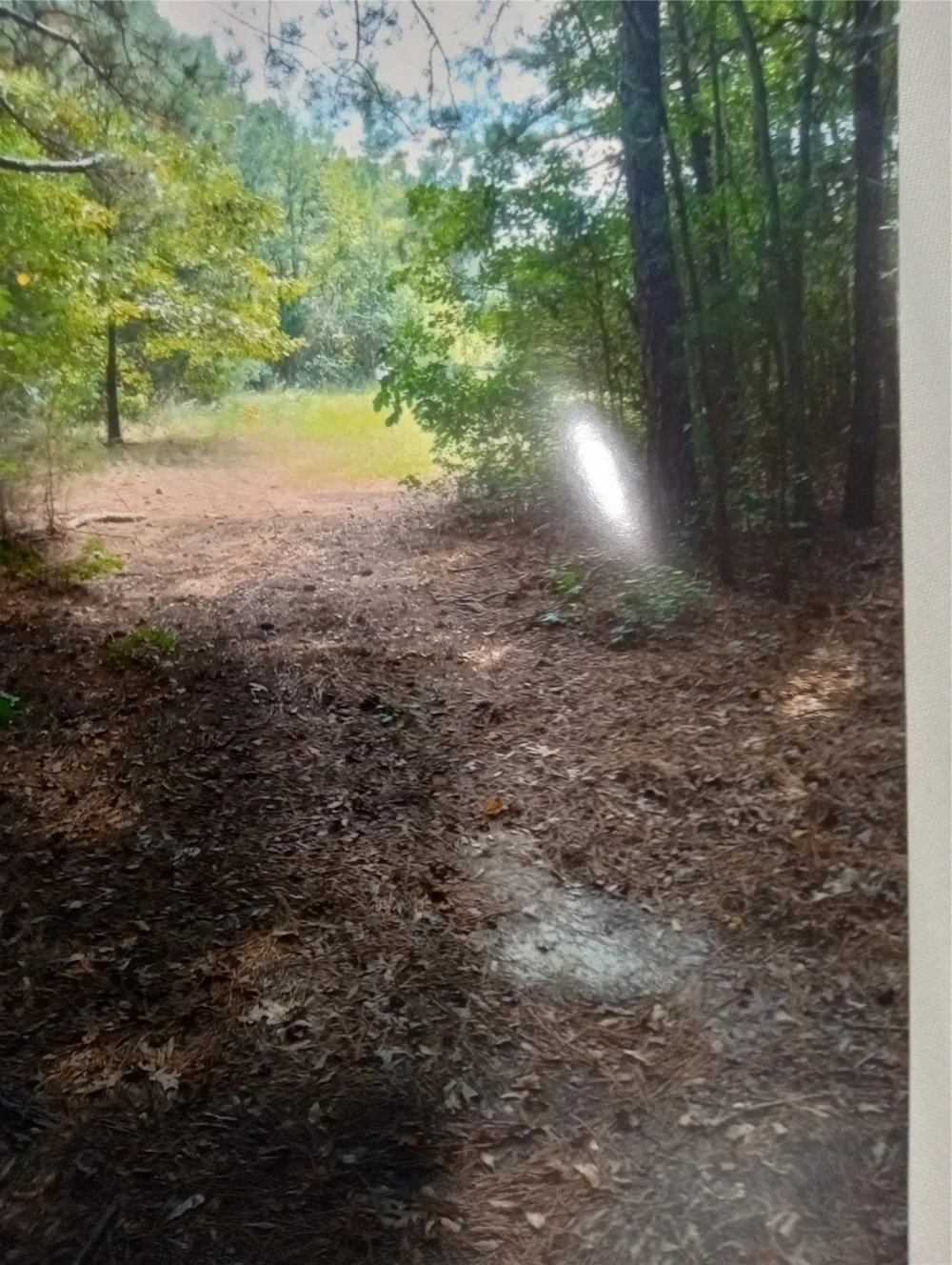 165 County rd 2613 Marietta, TX 75566