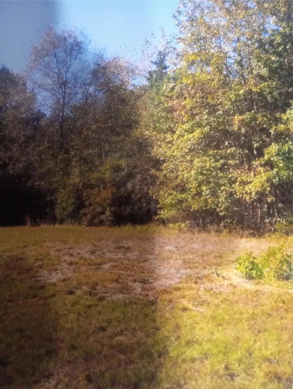 165 County rd 2613 Marietta, TX 75566