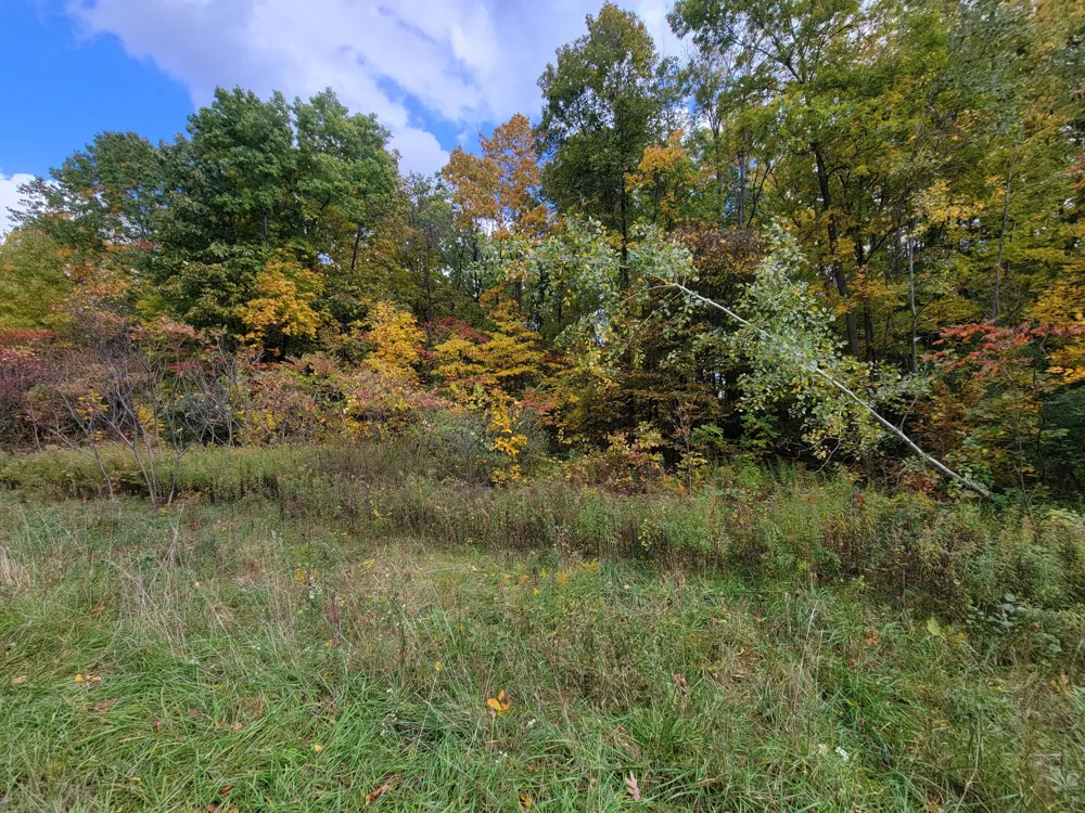 74066 Ridgeway Drive Lawton, MI 49065