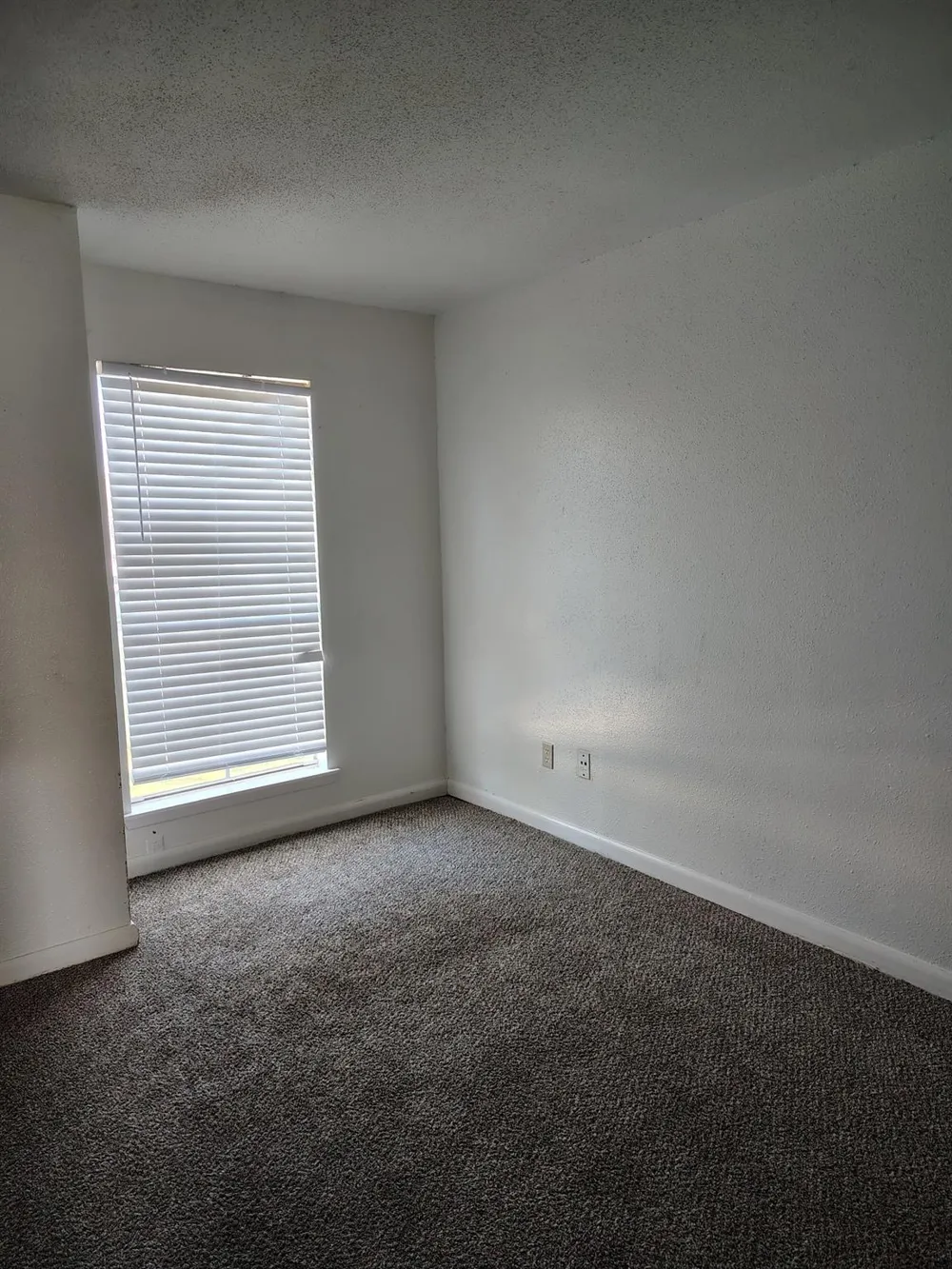 5625 Antoine Drive #901 Houston, TX 77091