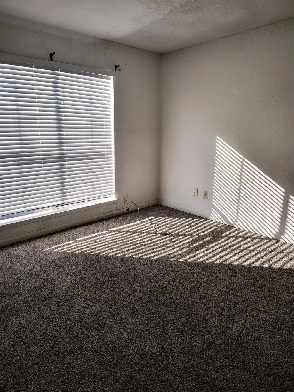5625 Antoine Drive #901 Houston, TX 77091