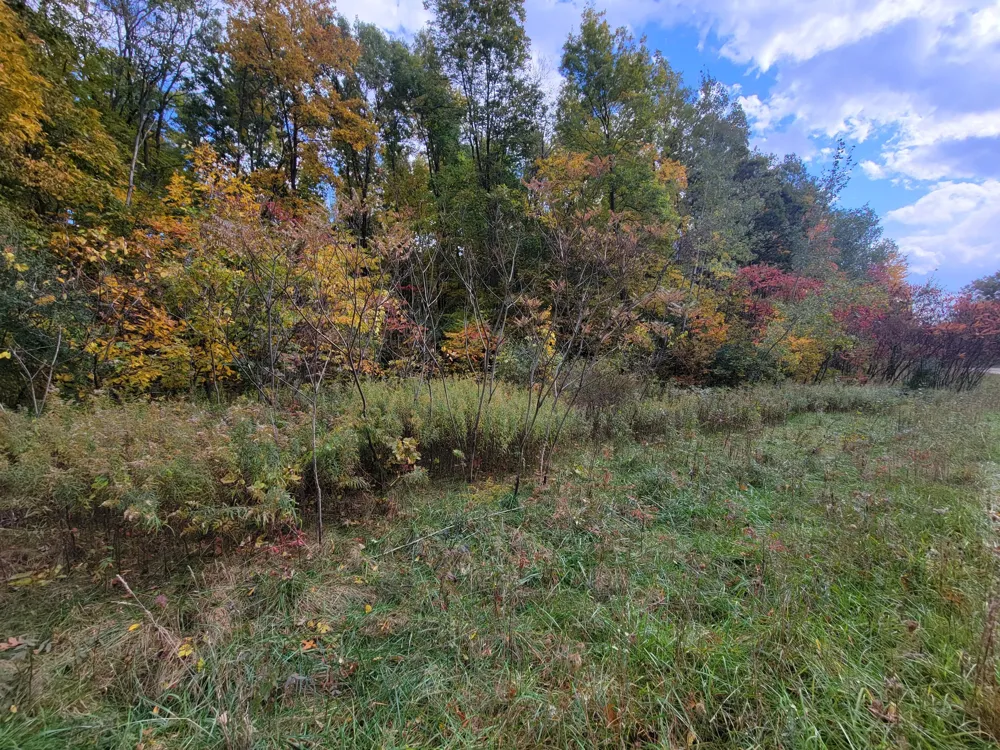 74016 Ridgeway Drive Lawton, MI 49065
