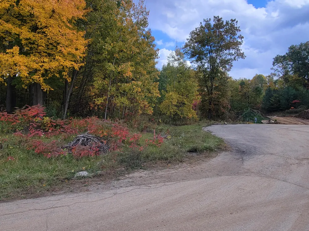 74016 Ridgeway Drive Lawton, MI 49065