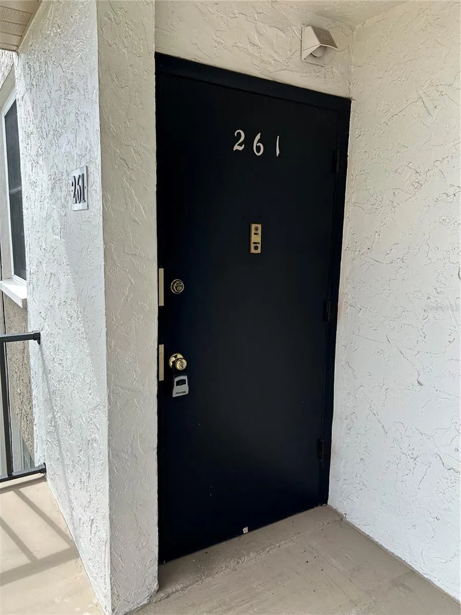 108 CLOCKTOWER DRIVE #261 Brandon, FL 33510