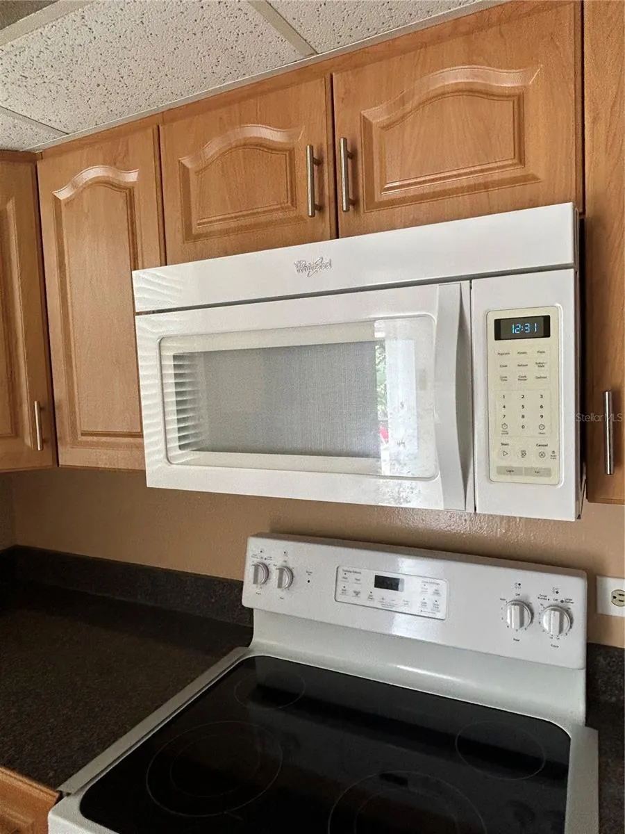 108 CLOCKTOWER DRIVE #261 Brandon, FL 33510