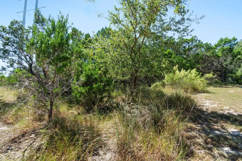 704 Palos Verdes Drive Lakeway, TX 78734