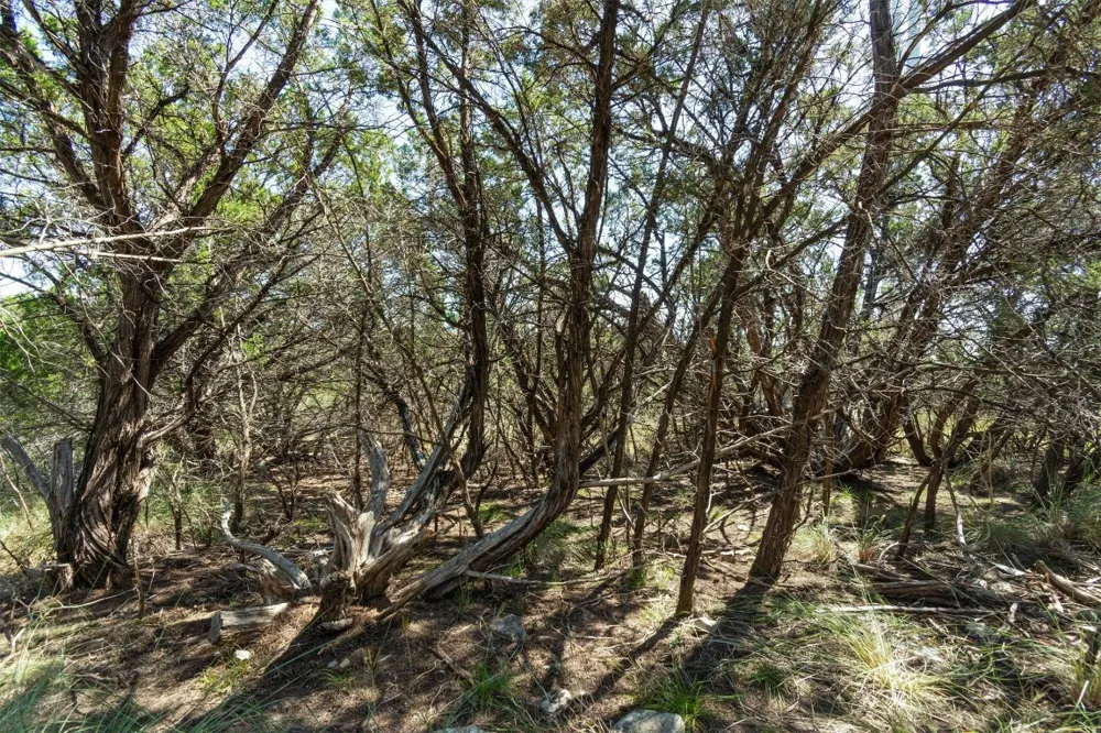 704 Palos Verdes Drive Lakeway, TX 78734