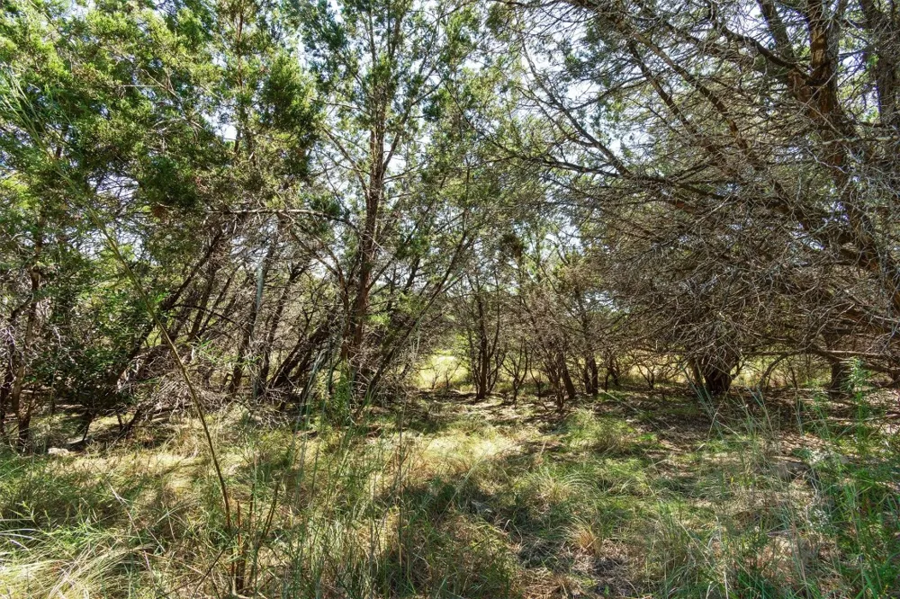 704 Palos Verdes Drive Lakeway, TX 78734