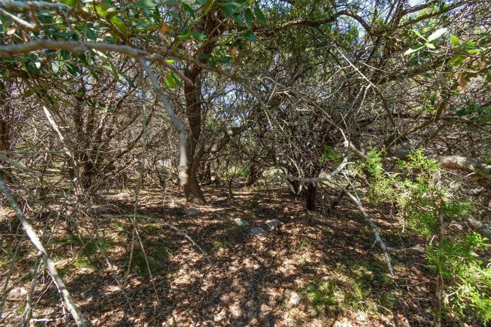 704 Palos Verdes Drive Lakeway, TX 78734