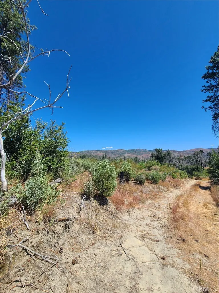 HOG RANCH ROAD Concow, CA 95965