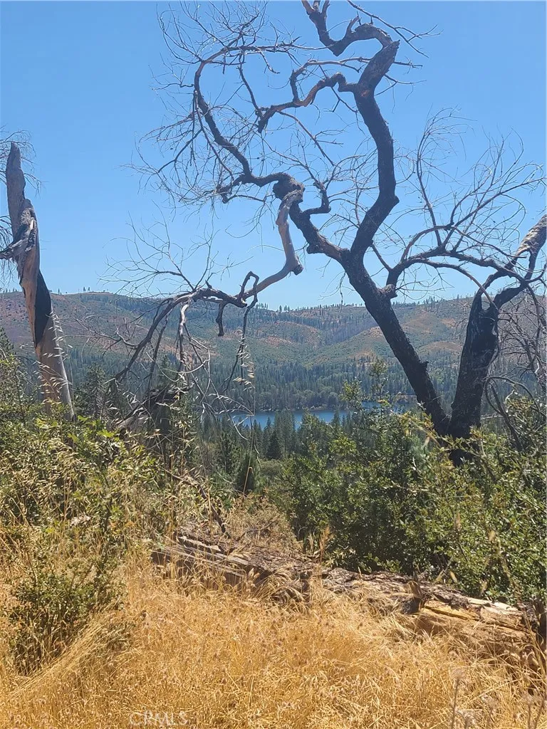 HOG RANCH ROAD Concow, CA 95965