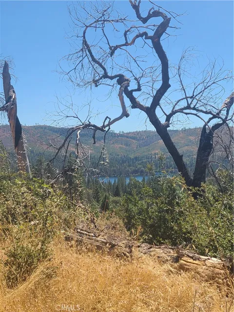 HOG RANCH ROAD