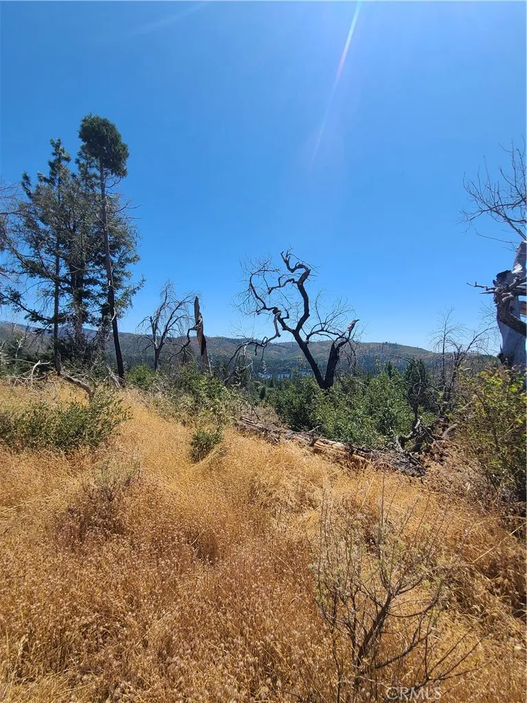 HOG RANCH ROAD Concow, CA 95965