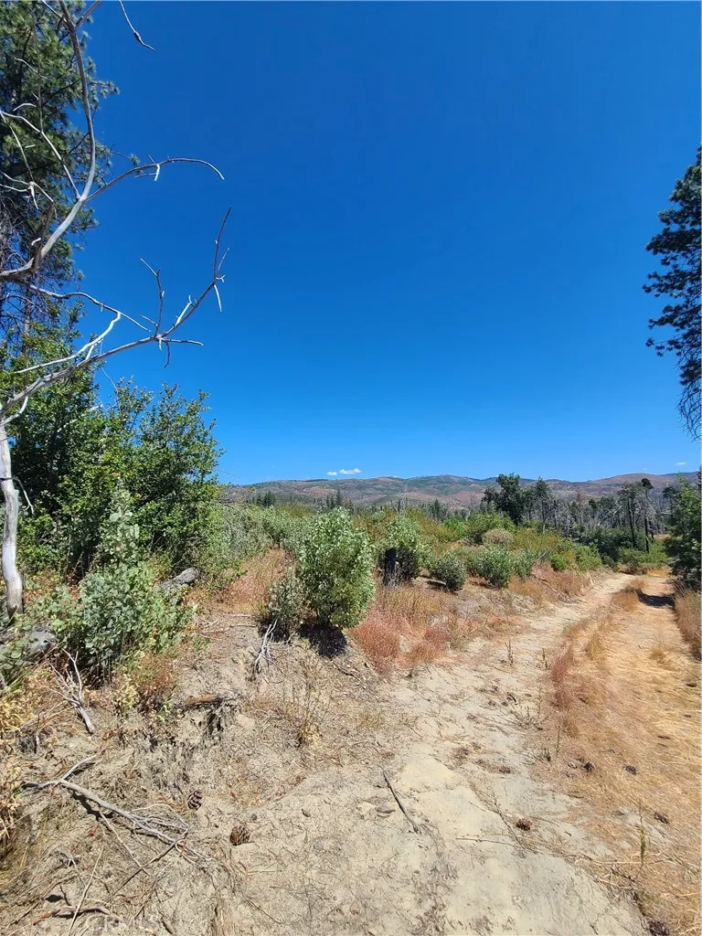 HOG RANCH ROAD Concow, CA 95965