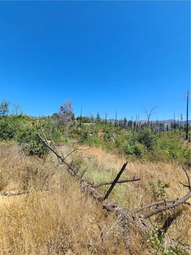 HOG RANCH ROAD Concow, CA 95965