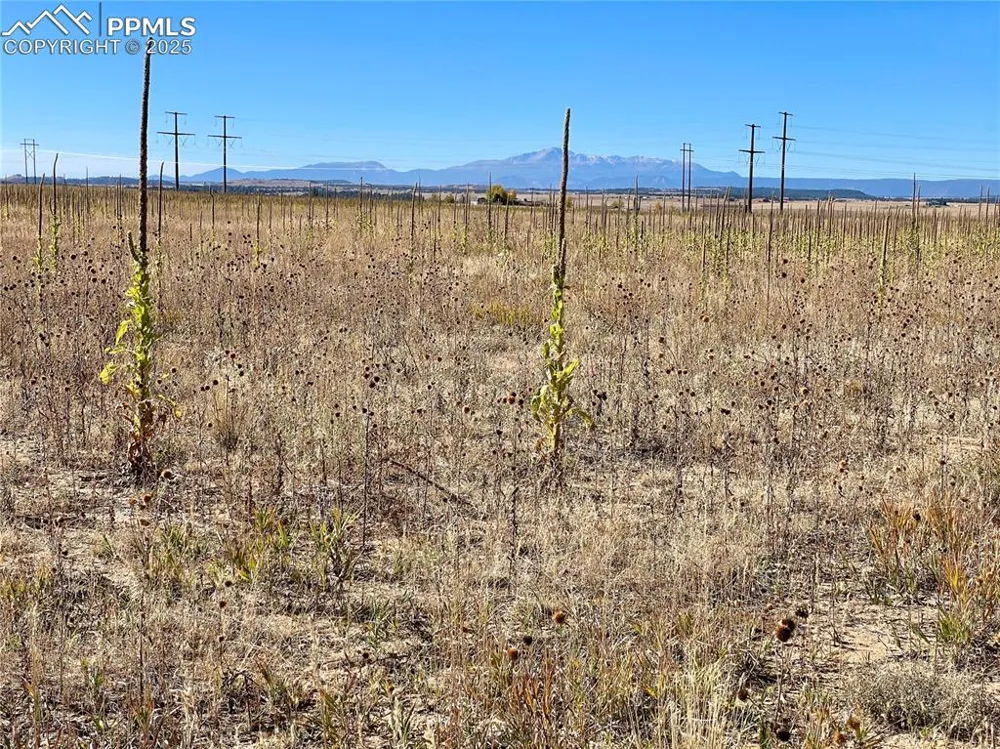 Parcel 3 County Road 98 Elbert, CO 80106