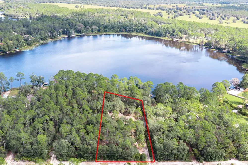 239 RILEY LAKE DRIVE Hawthorne, FL 32640