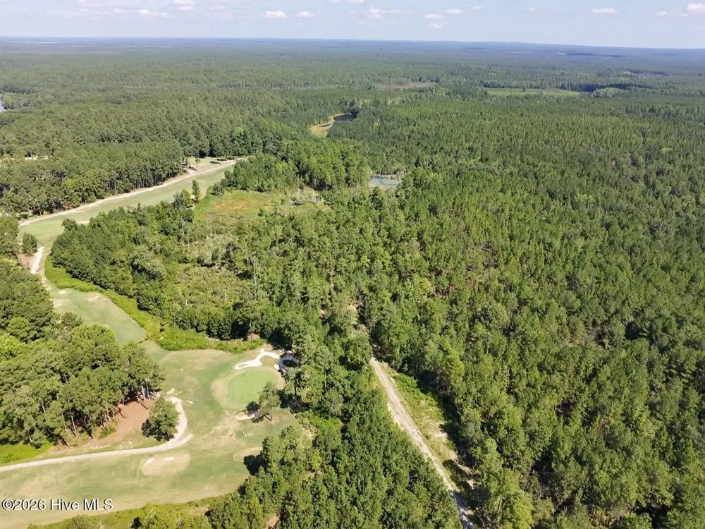 Trt 11 Peach Orchard Road Wagram, NC 28396