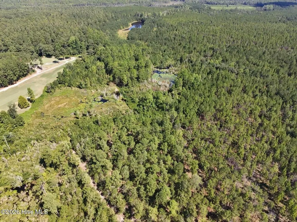 Trt 11 Peach Orchard Road Wagram, NC 28396