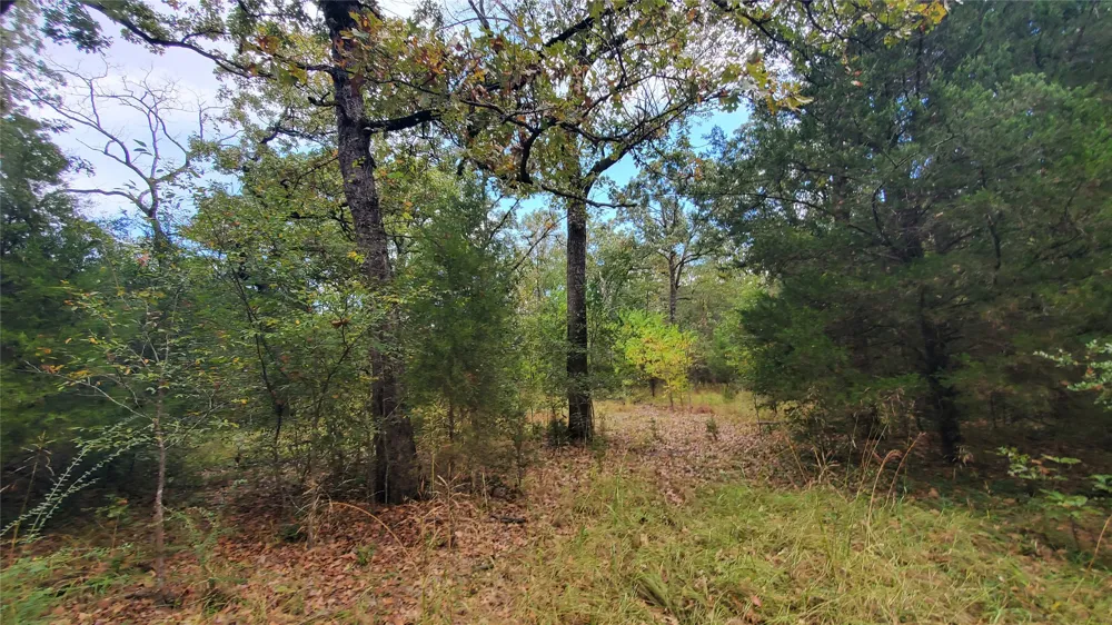 Apache Trail Log Cabin, TX 75148