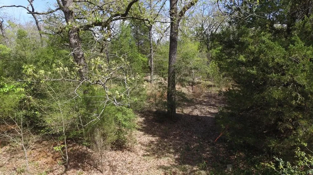 Apache Trail Log Cabin, TX 75148