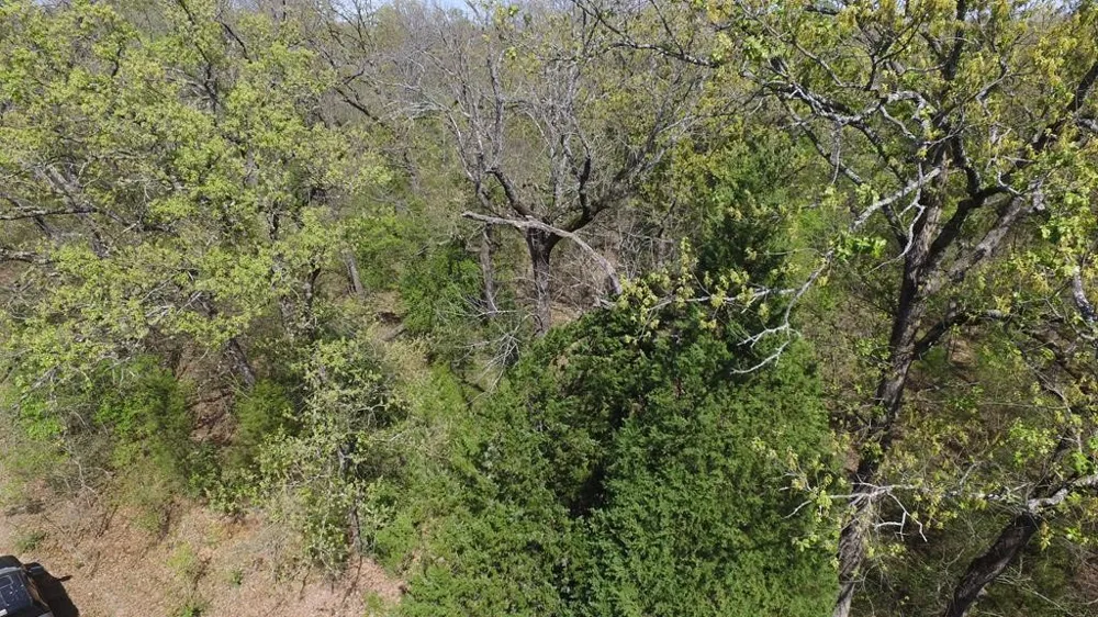 Apache Trail Log Cabin, TX 75148