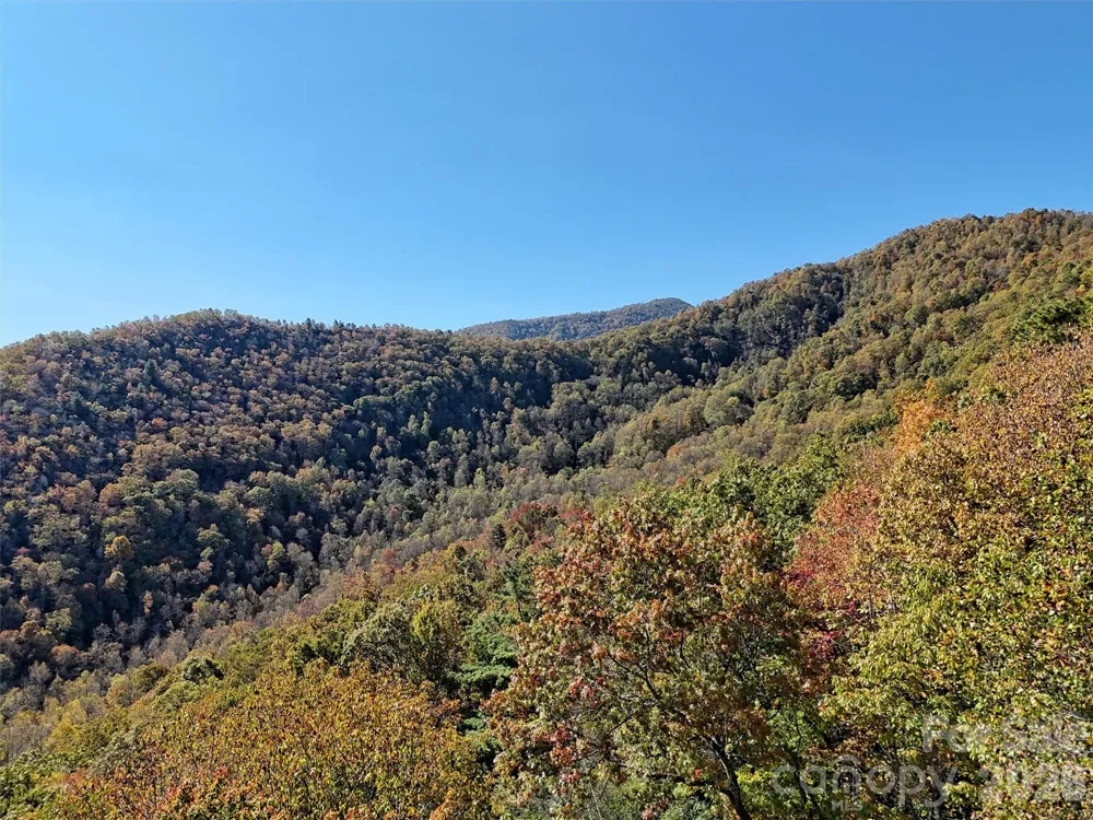 00 Mack Luke Road #7 Whittier, NC 28789