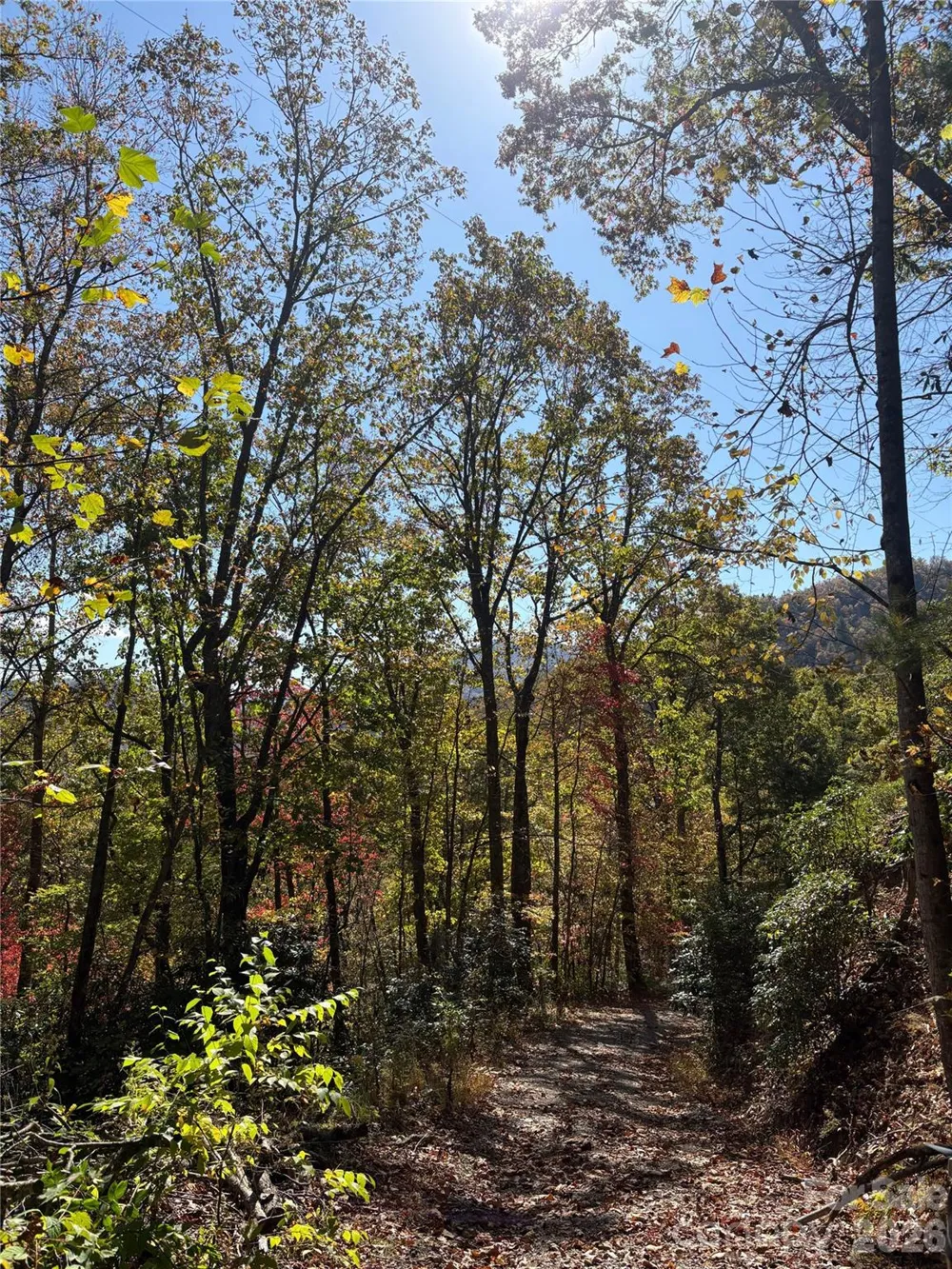 00 Mack Luke Road #7 Whittier, NC 28789