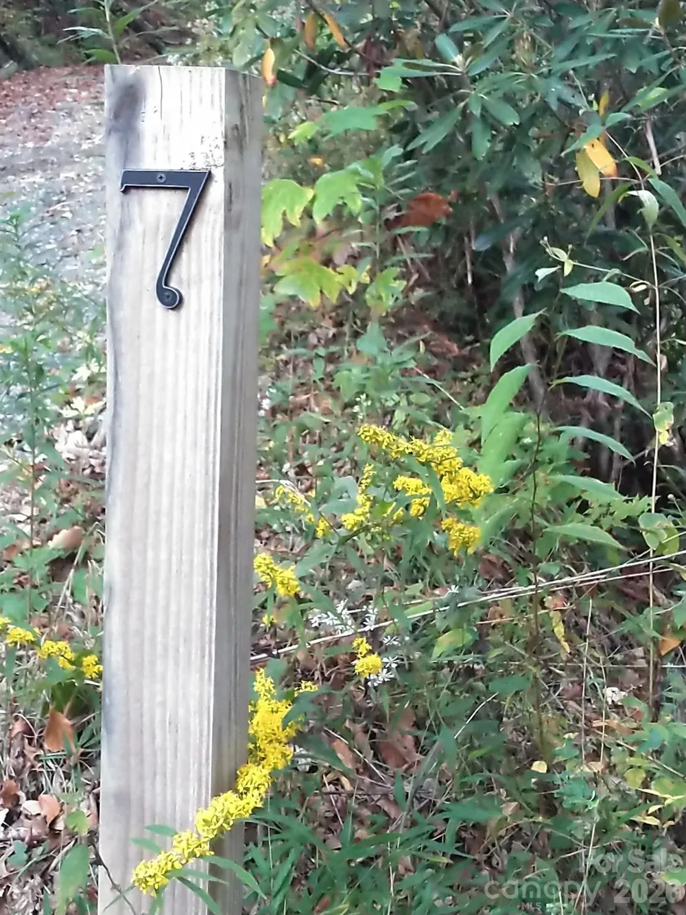 00 Mack Luke Road #7 Whittier, NC 28789