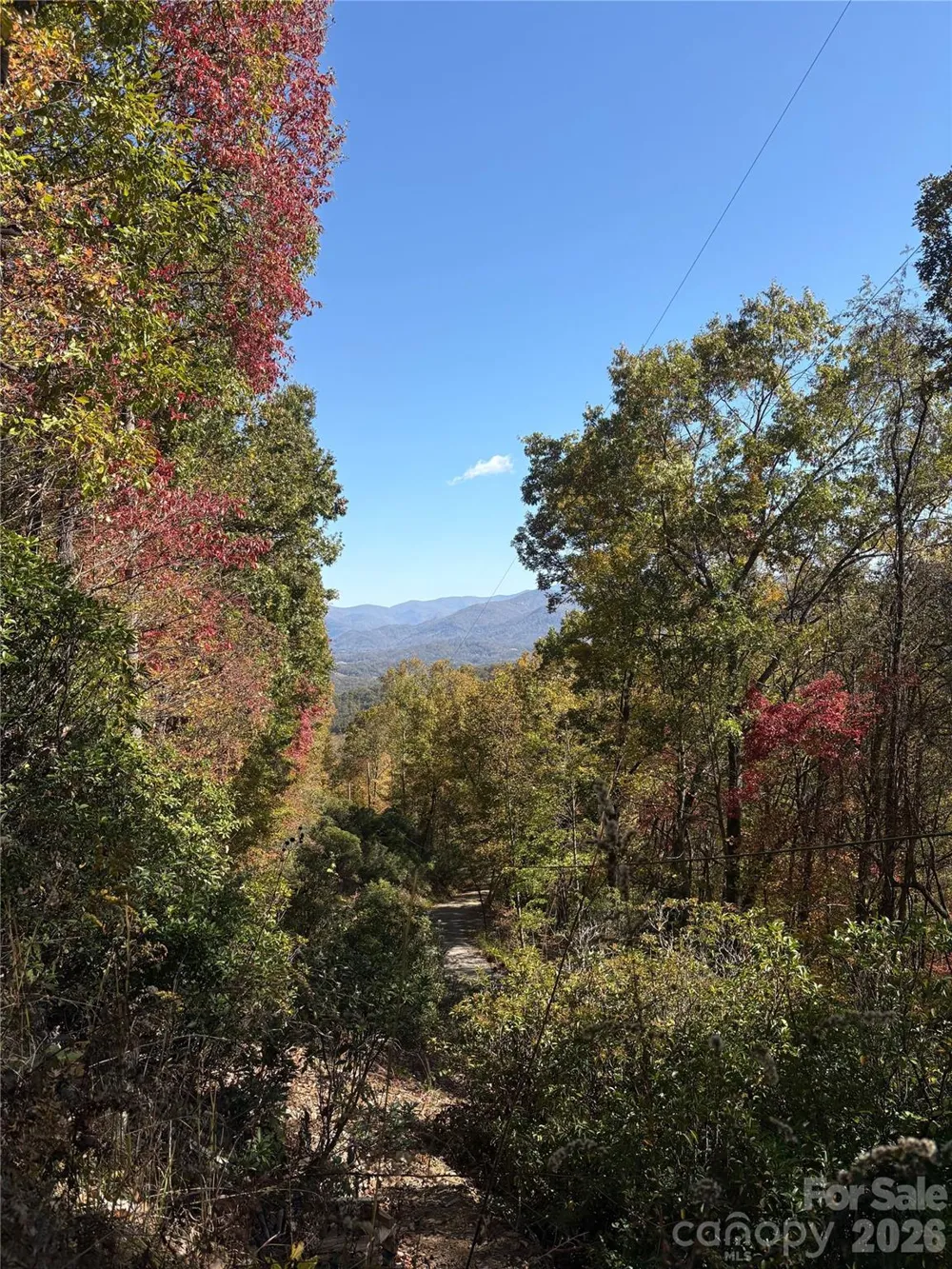 00 Mack Luke Road #7 Whittier, NC 28789