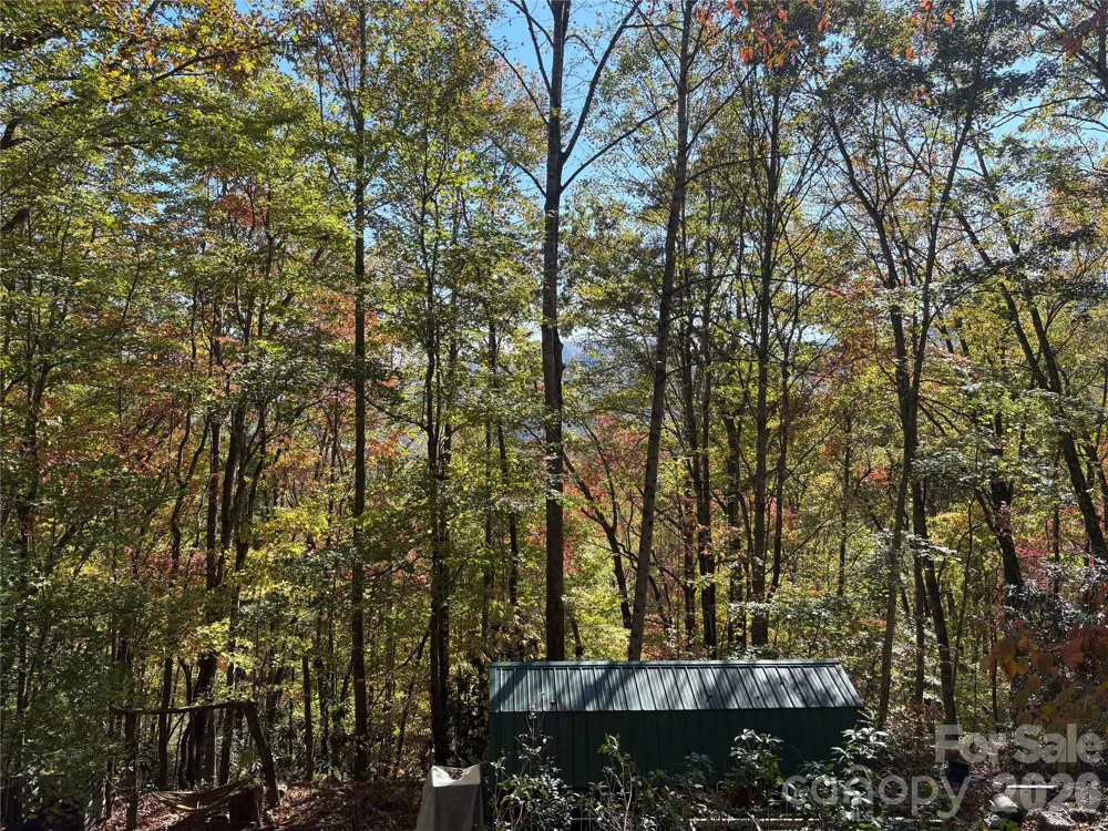 00 Mack Luke Road #7 Whittier, NC 28789