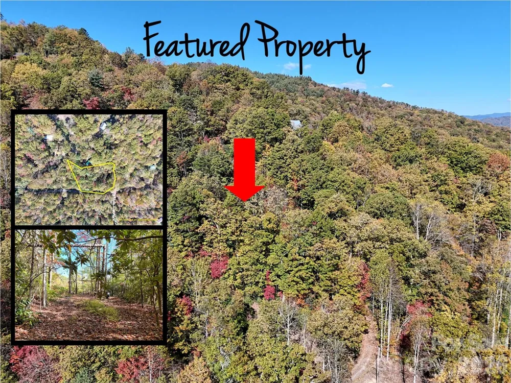 0 Mack Luke Road #6 Whittier, NC 28789