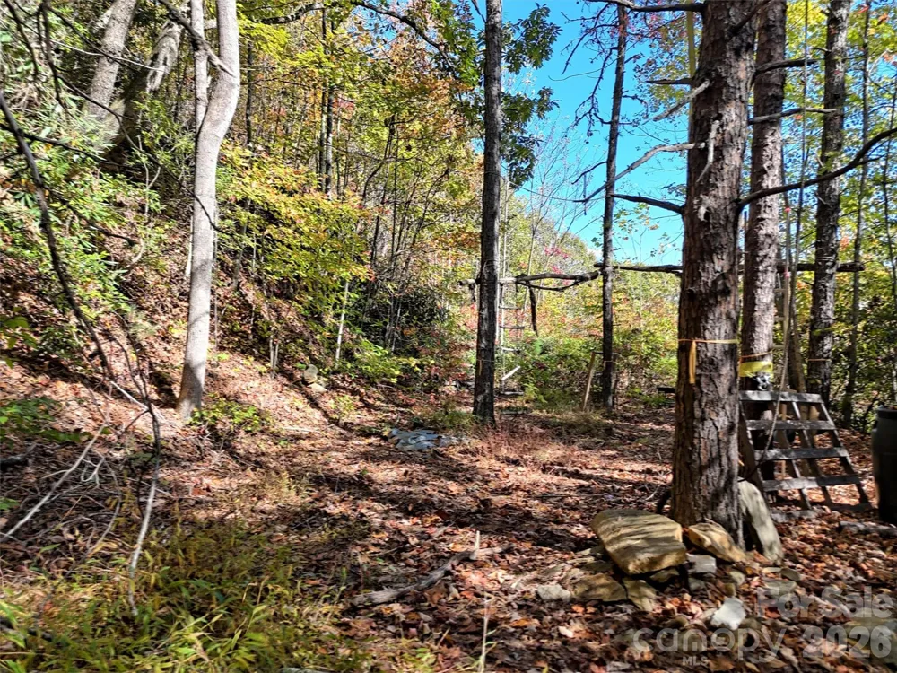 0 Mack Luke Road #6 Whittier, NC 28789