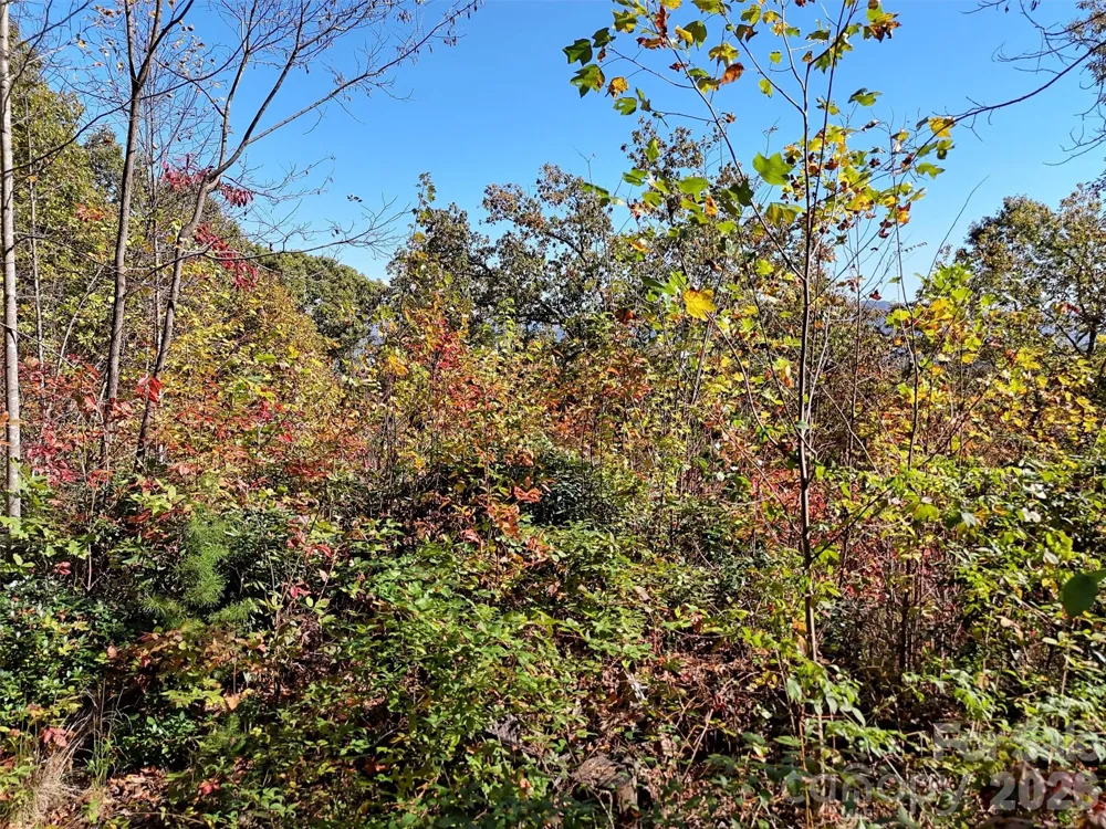0 Mack Luke Road #6 Whittier, NC 28789