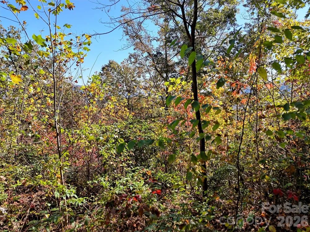 0 Mack Luke Road #6 Whittier, NC 28789