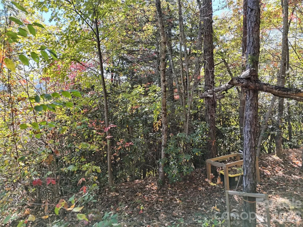 0 Mack Luke Road #6 Whittier, NC 28789