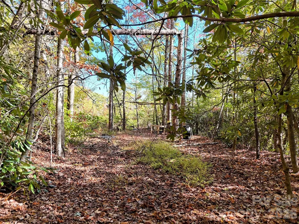 0 Mack Luke Road #6 Whittier, NC 28789