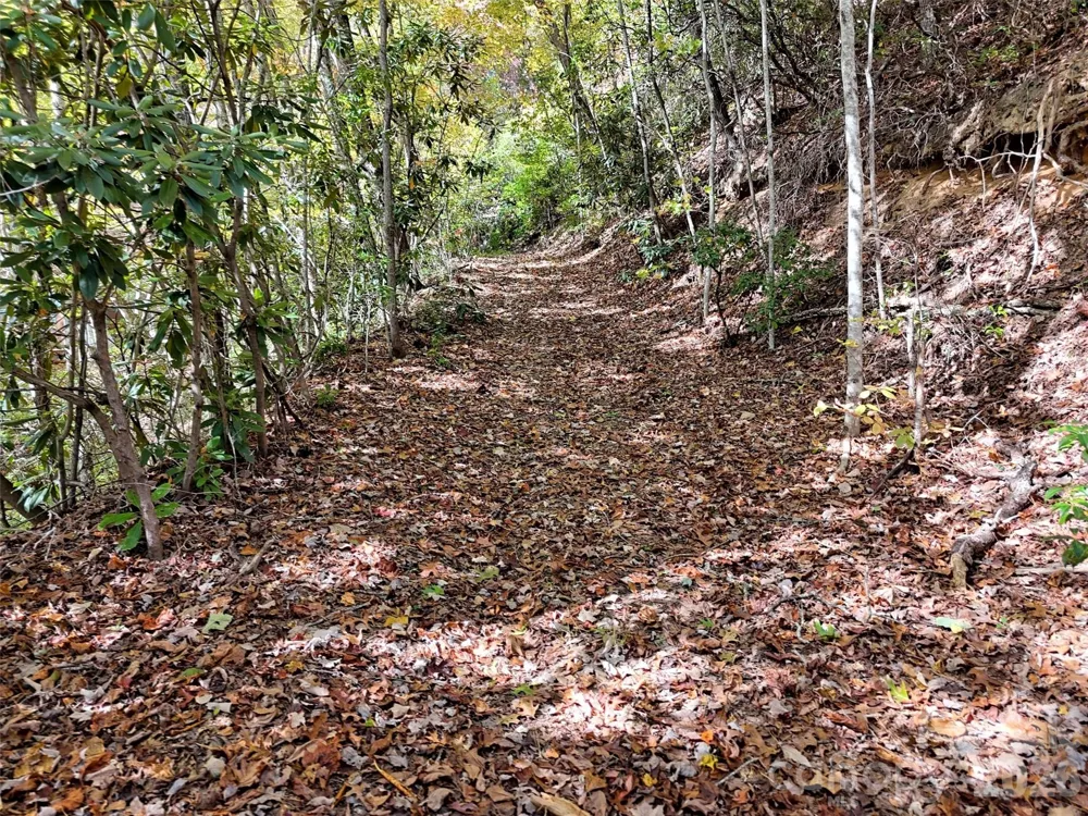 0 Mack Luke Road #6 Whittier, NC 28789