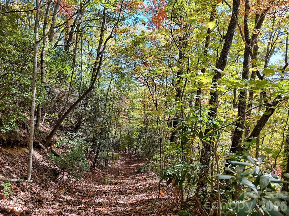 0 Mack Luke Road #6 Whittier, NC 28789