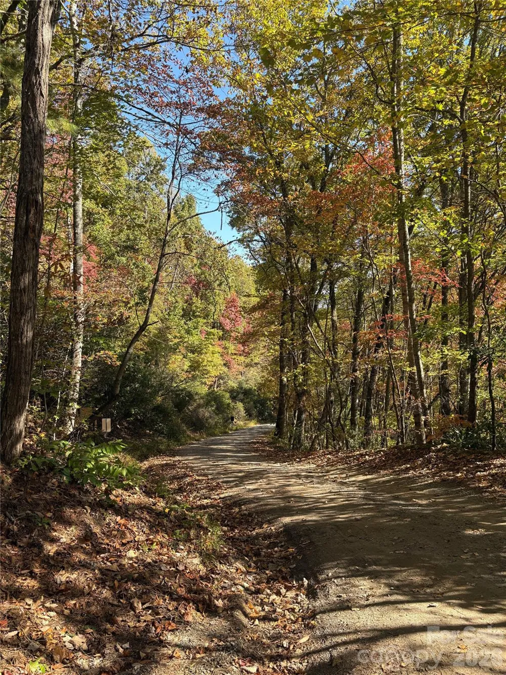 0 Mack Luke Road #6 Whittier, NC 28789