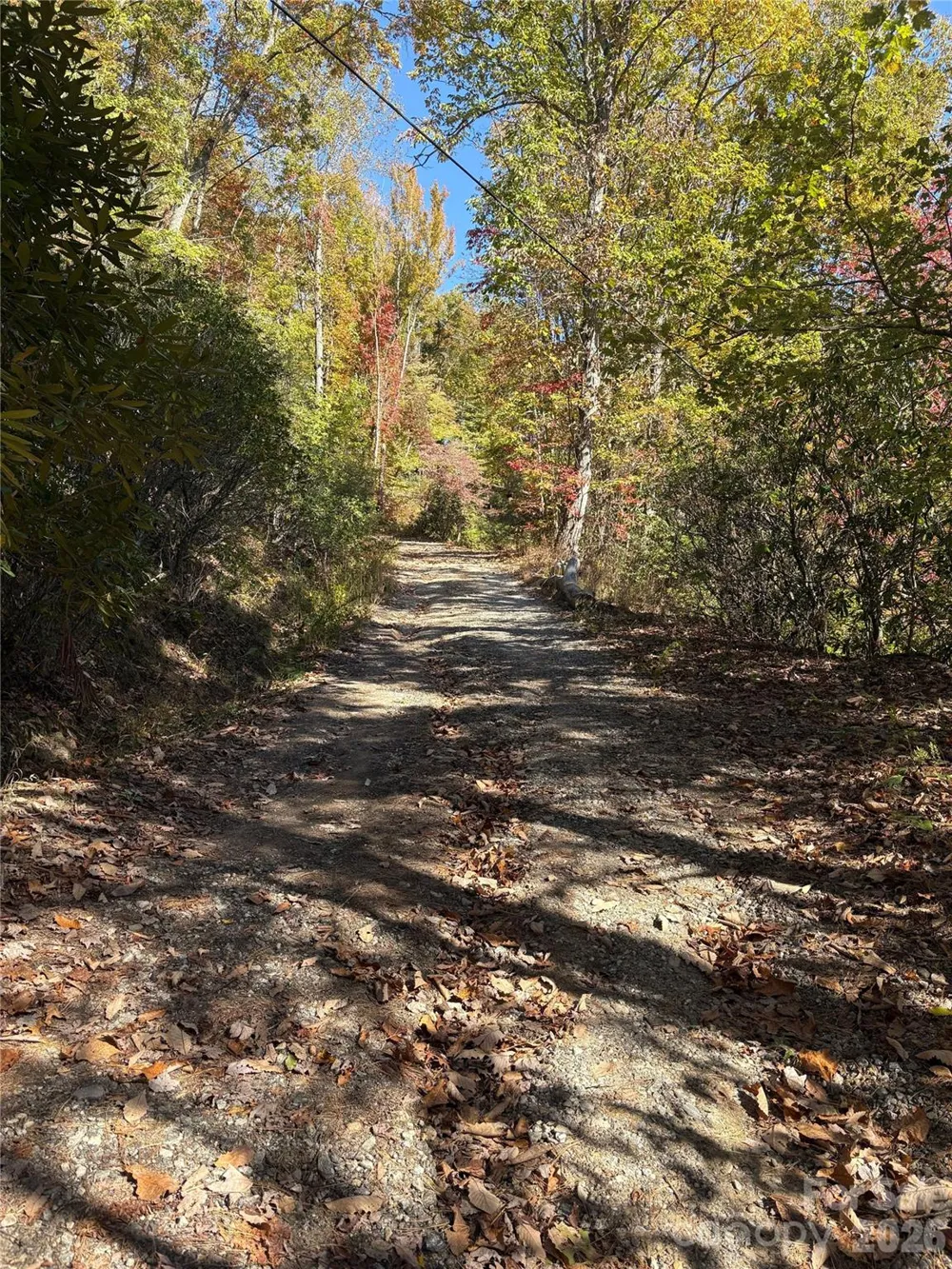 0 Mack Luke Road #6 Whittier, NC 28789