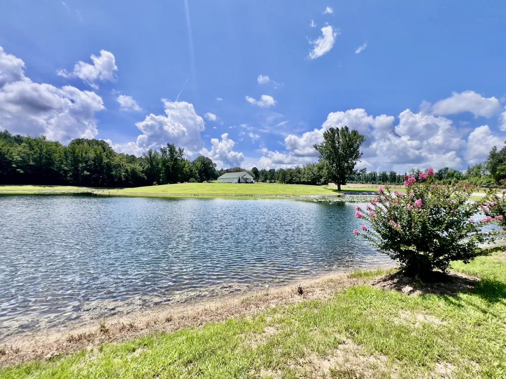 3375 Rowland Mill Rd Buena Vista, TN 38318