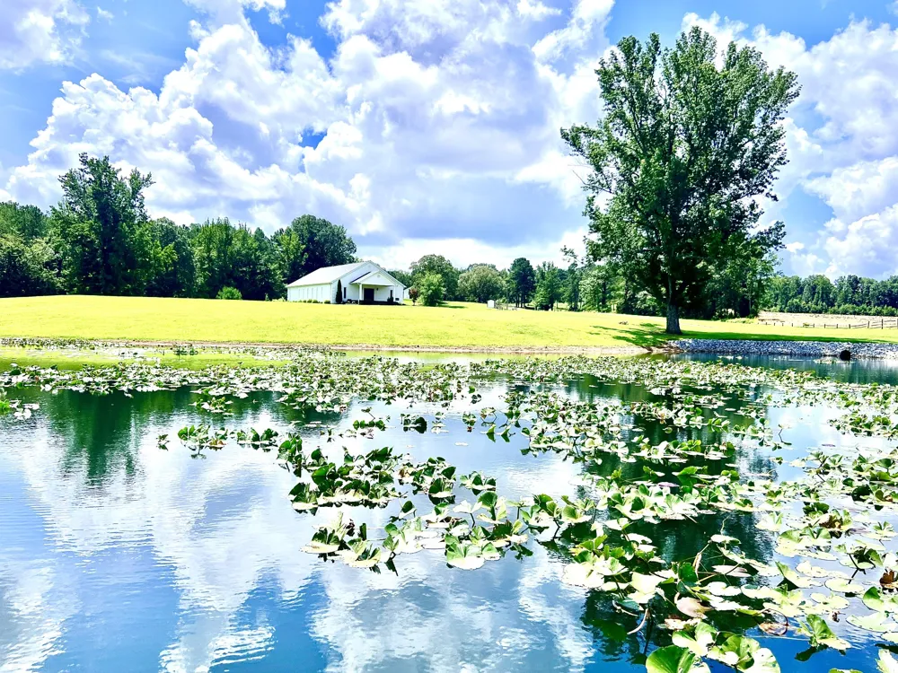 3375 Rowland Mill Rd Buena Vista, TN 38318
