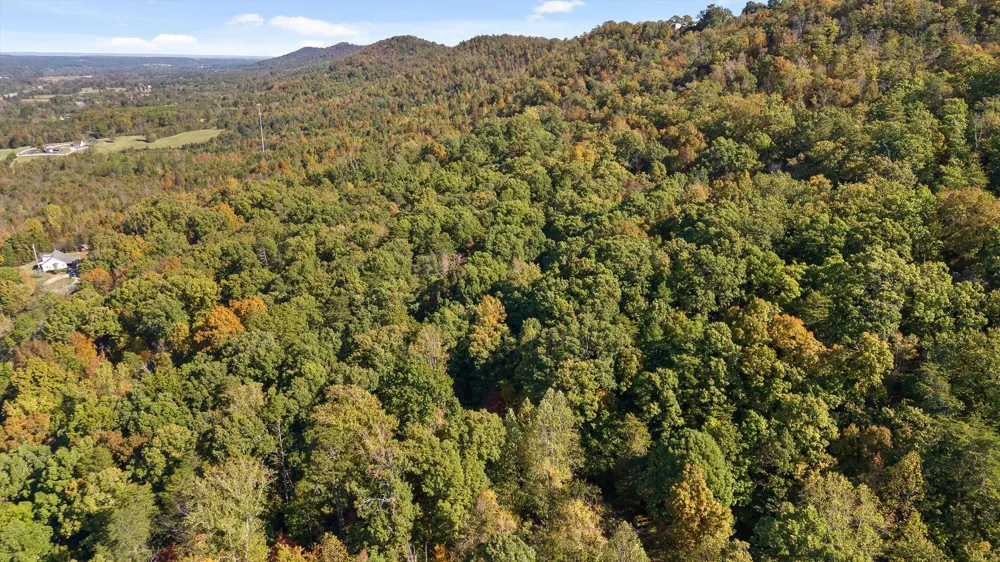 Inman Street Ringgold, GA 30736