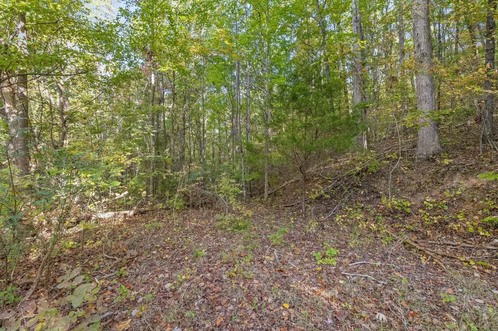 Inman Street Ringgold, GA 30736