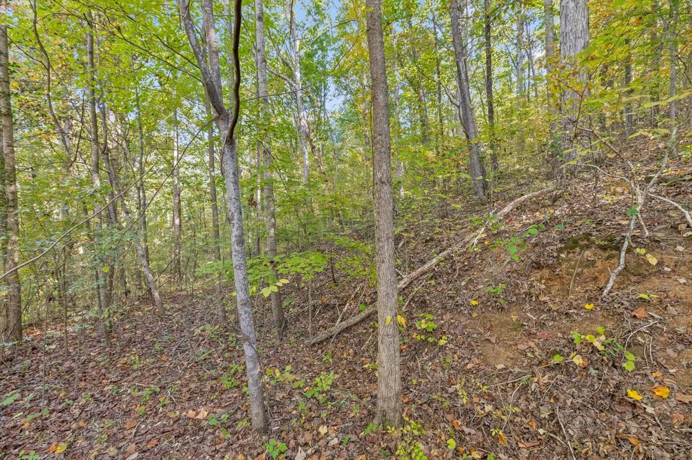 Inman Street Ringgold, GA 30736