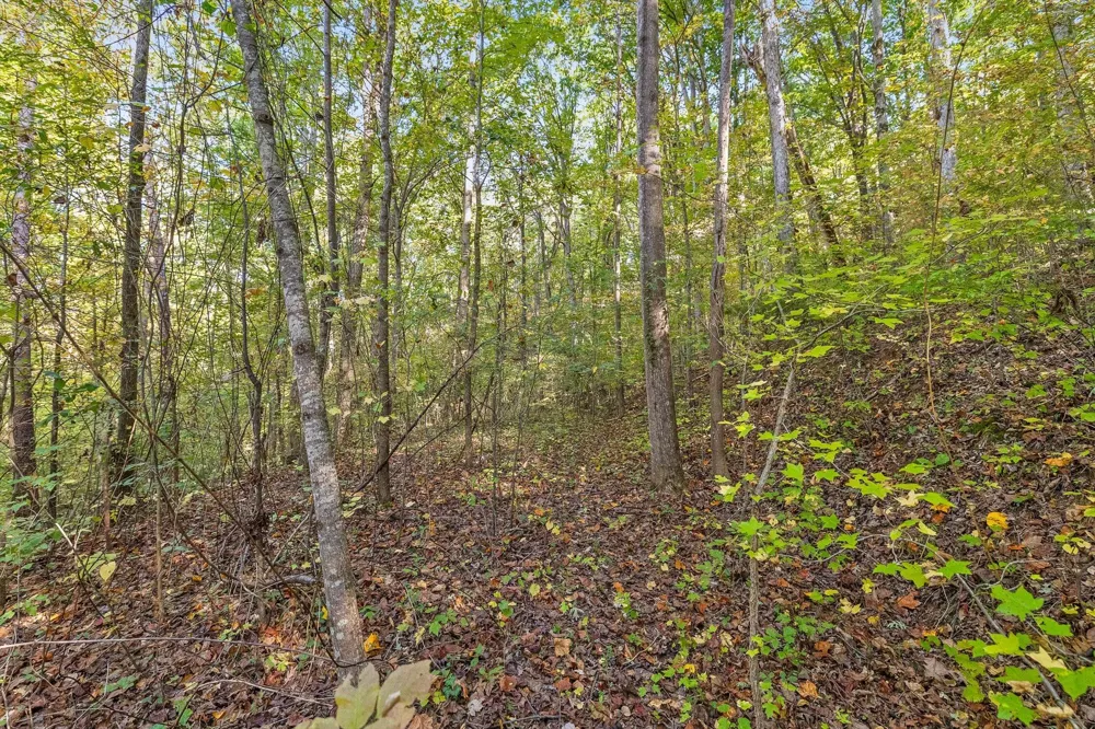 Inman Street Ringgold, GA 30736