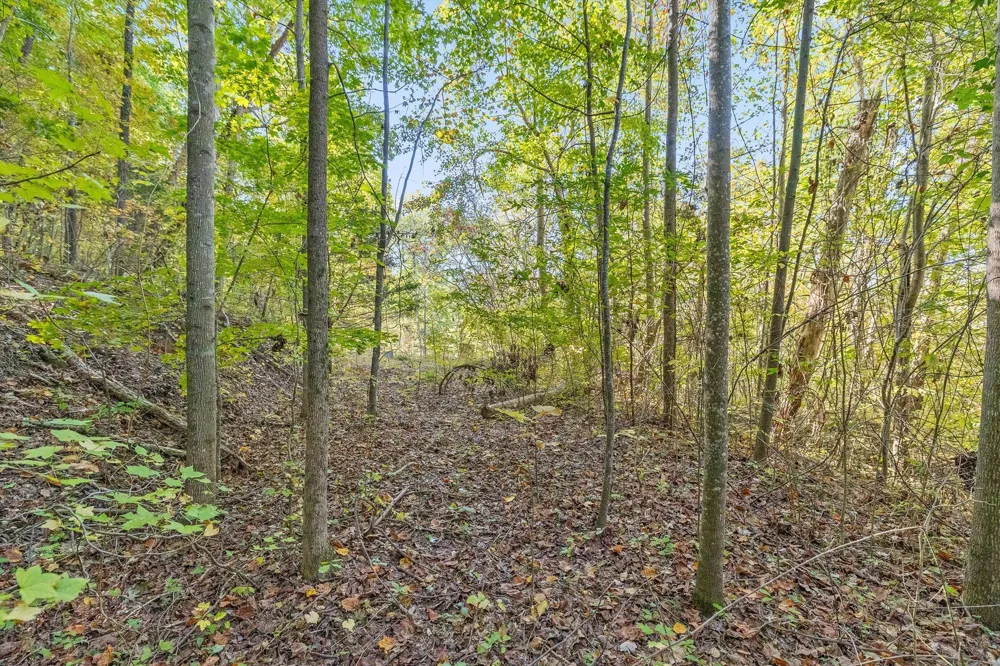 Inman Street Ringgold, GA 30736