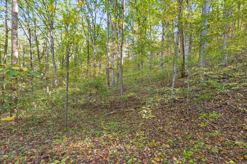 Inman Street Ringgold, GA 30736